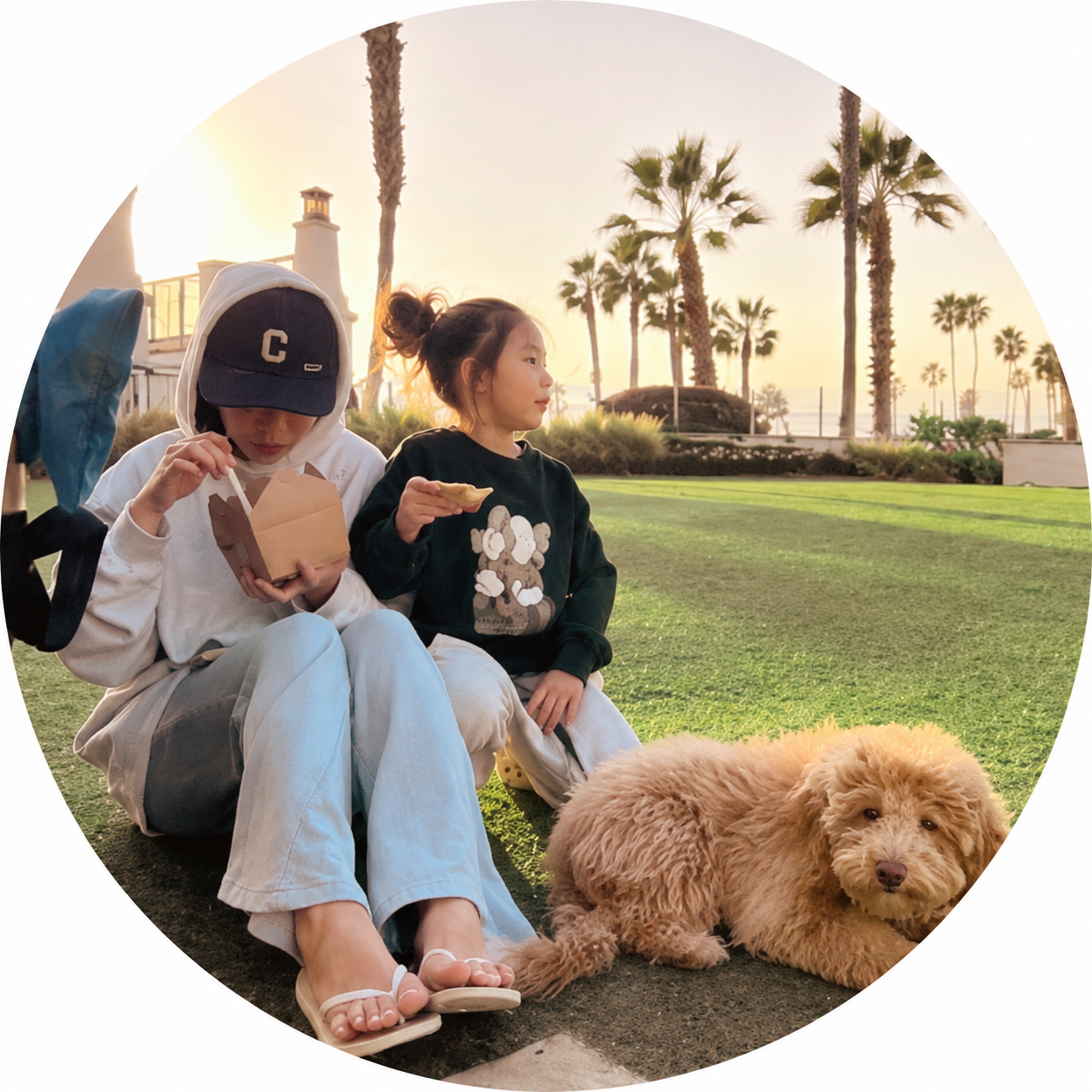 小z・加州苟且生活(Moody Birdie)